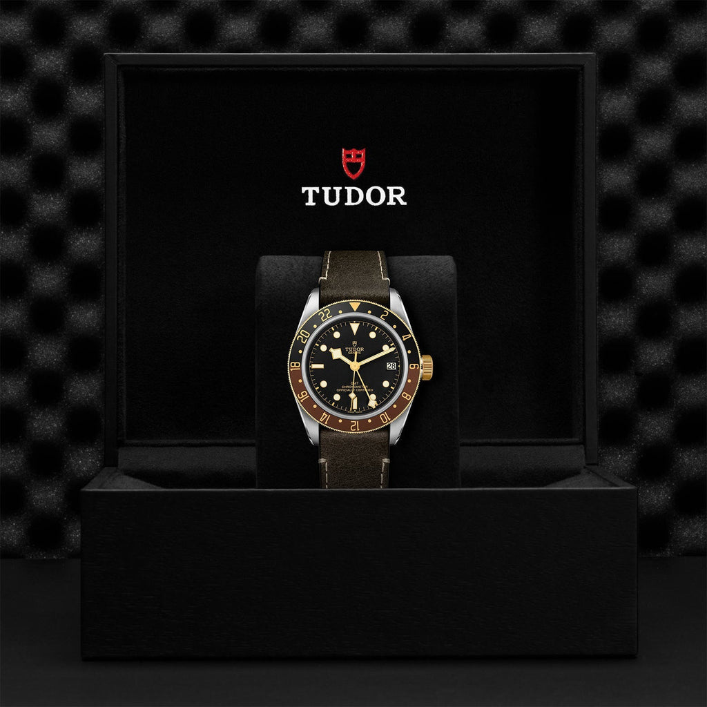 Black Bay GMT S&G