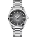 OMG Seamaster Railmaster, 38mm with Gray Dial