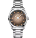 OMG Seamaster Railmaster, 38mm with Brown Dial