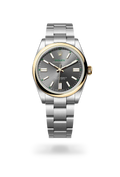 RLX Oyster Perpetual 41
